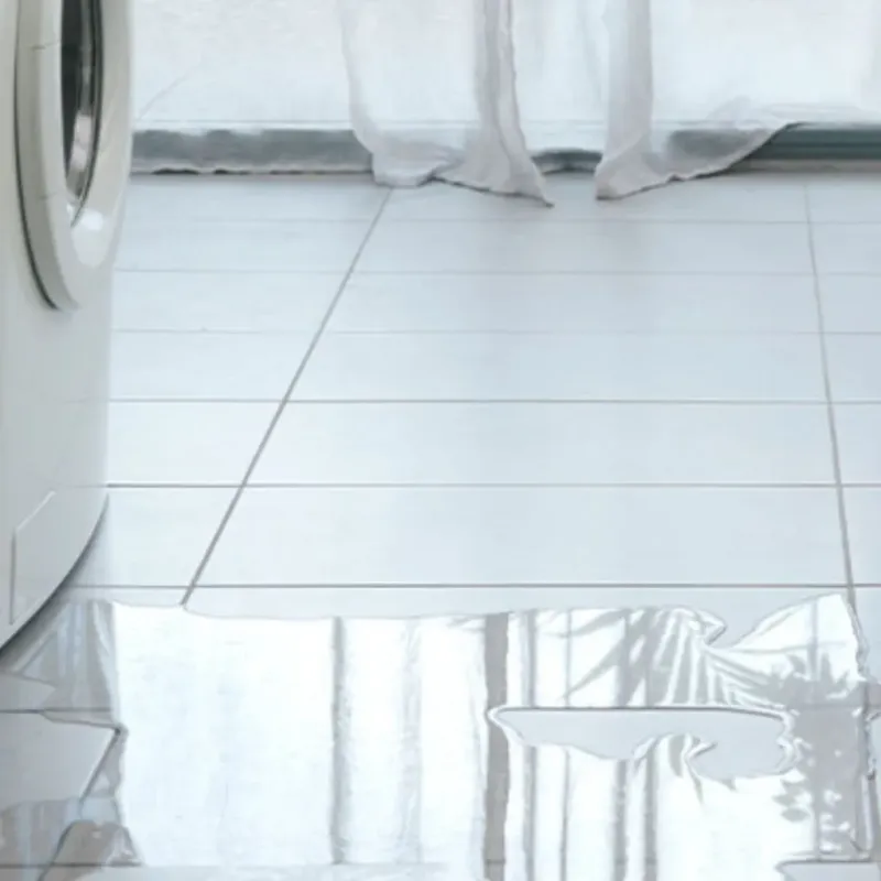 Appliance Leak Cleanup in Center Line, MI