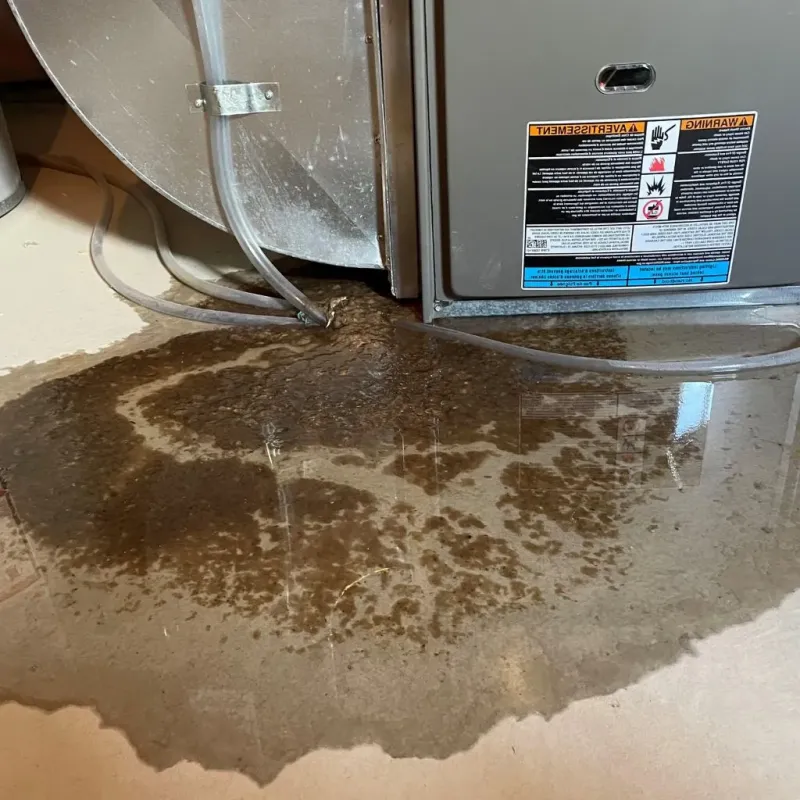 Pipe Burst and Leak Restoration in Center Line, MI