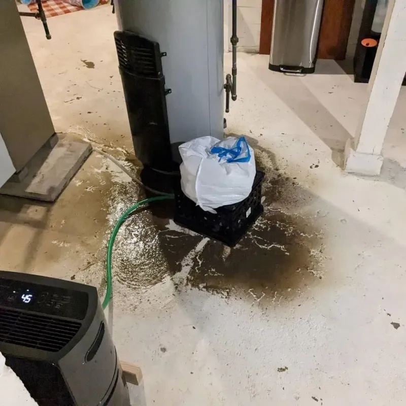 Sewage Backup Cleanup Service in Center Line, MI